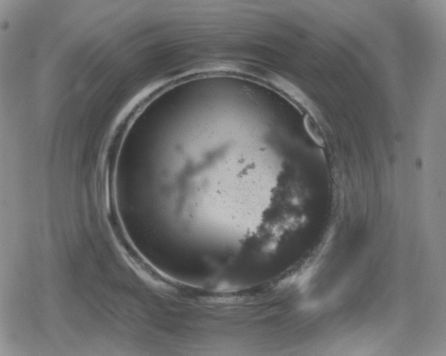 X0000080811127200612151521