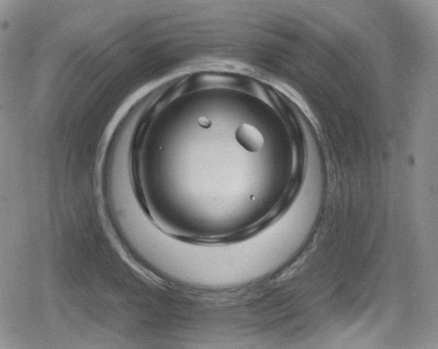 X0000080811128200612151521