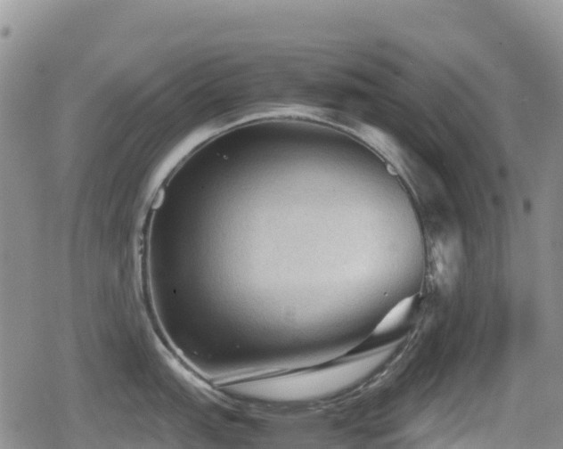X0000080811151200612151522