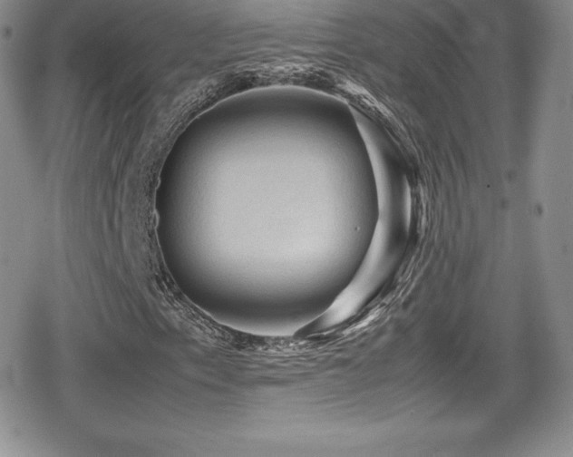 X0000080811153200612151521