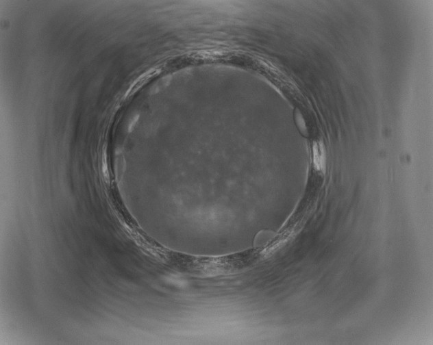 X0000080811155200612151521