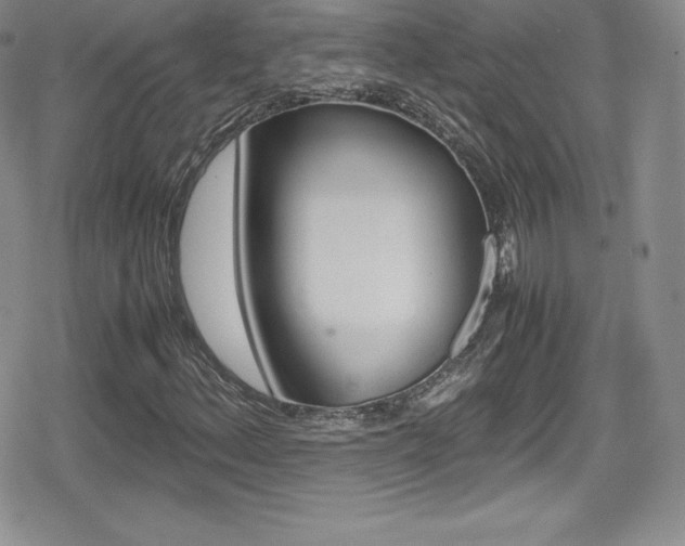 X0000080811156200612151521