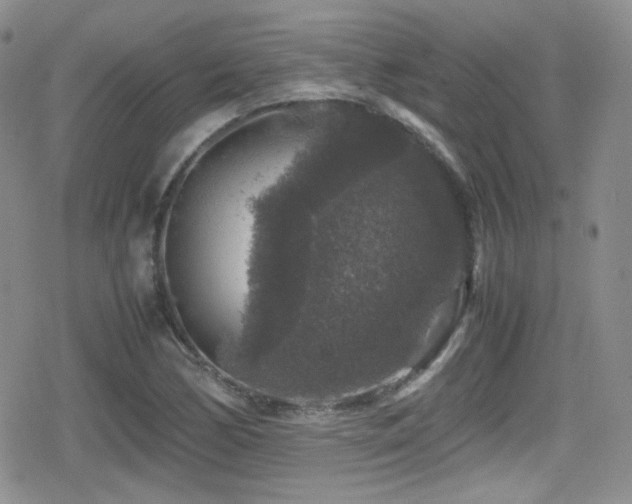 X0000080811170200612151521