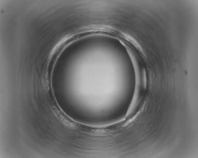X0000080811172200612151521