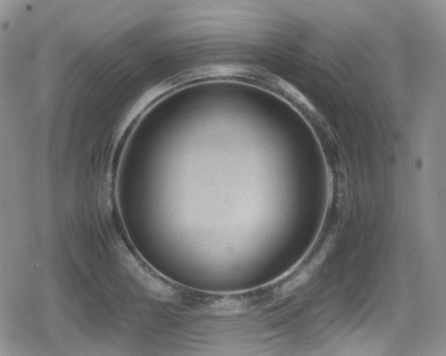 X0000080811178200612151521