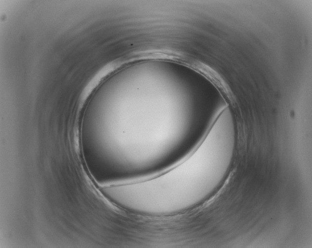 X0000080811188200612151520