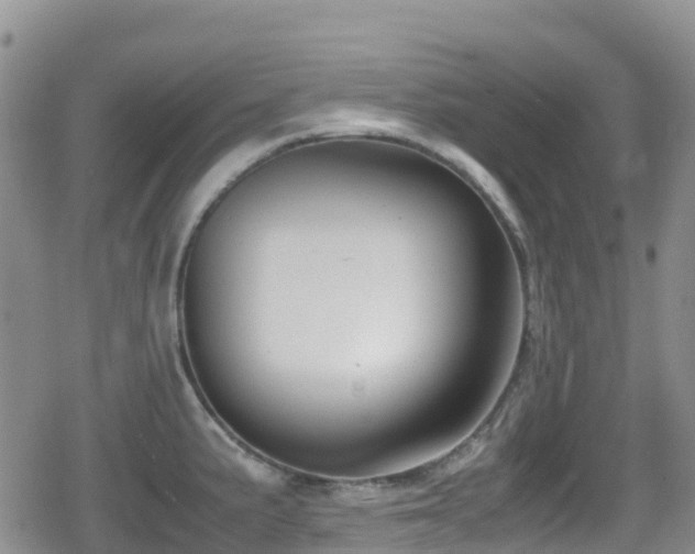 X0000080811191200612151520