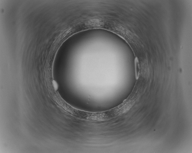X0000080811201200612151520