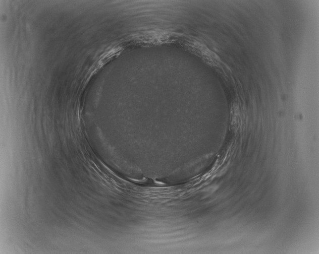 X0000080811202200612151520