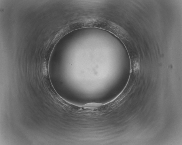 X0000080811204200612151520