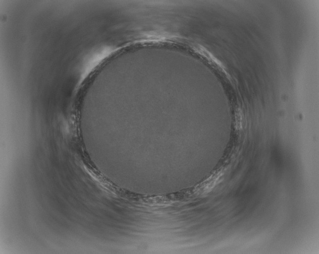X0000080811208200612151520