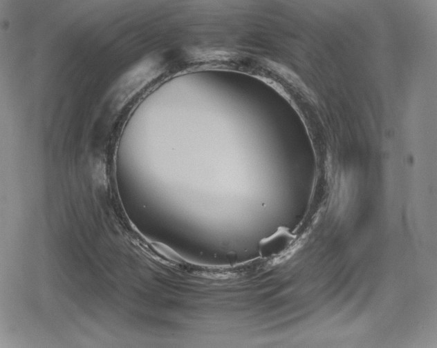 X0000080811209200612151520