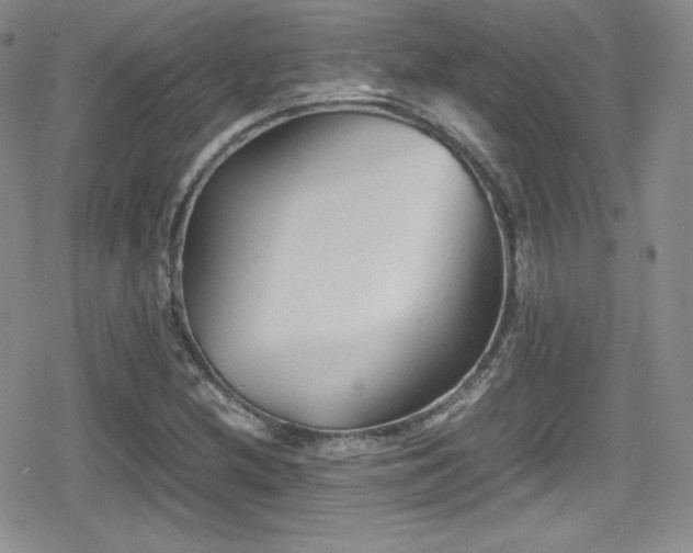 X0000080811212200612151520