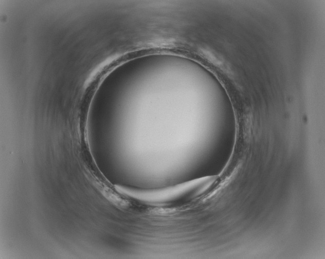 X0000080811214200612151520