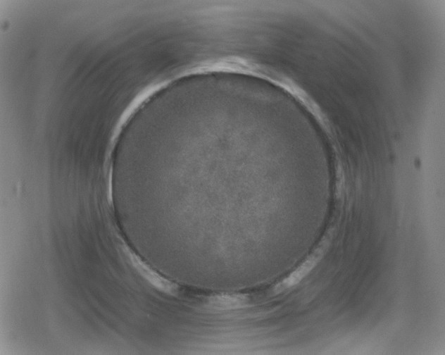 X0000080811224200612151520