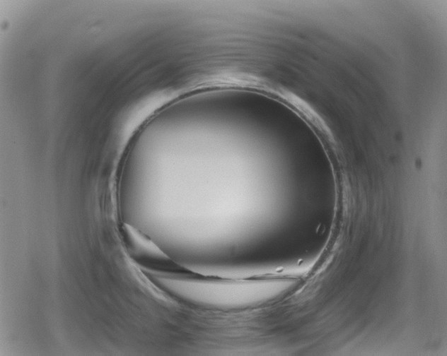 X0000080811238200612151520