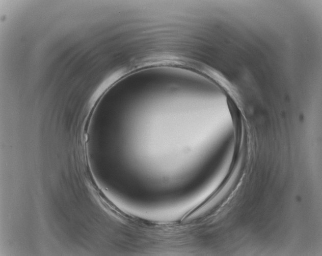 X0000080811242200612151520
