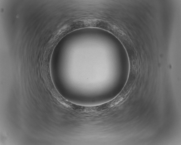X0000080811249200612151519