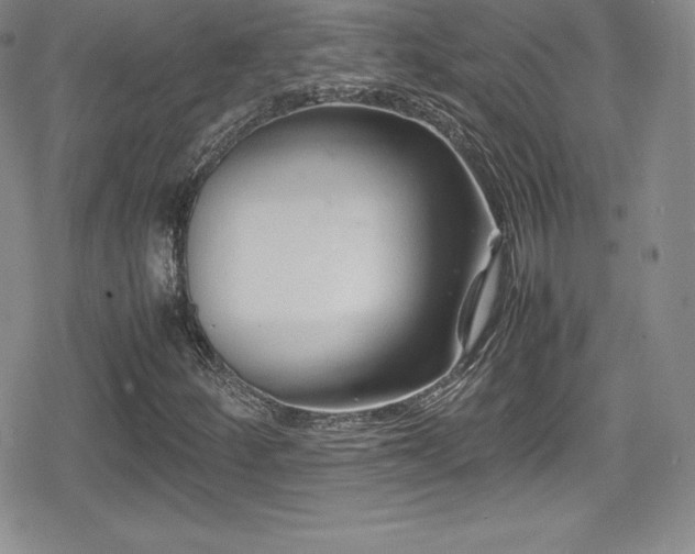 X0000080811252200612151519