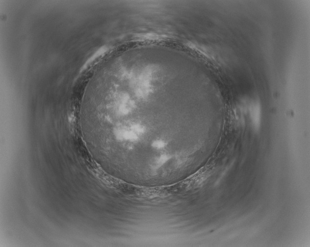 X0000080811254200612151519