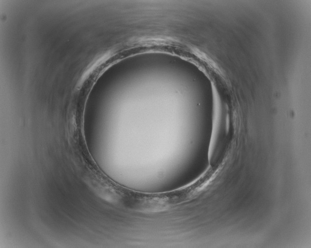X0000080811261200612151519