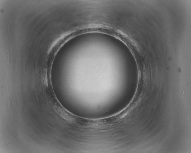X0000080811262200612151519
