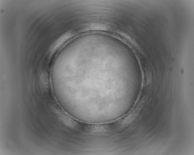 X0000080811266200612151519