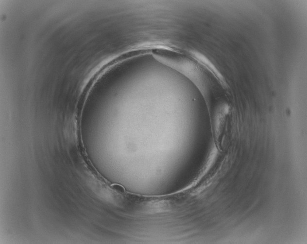 X0000080811268200612151519
