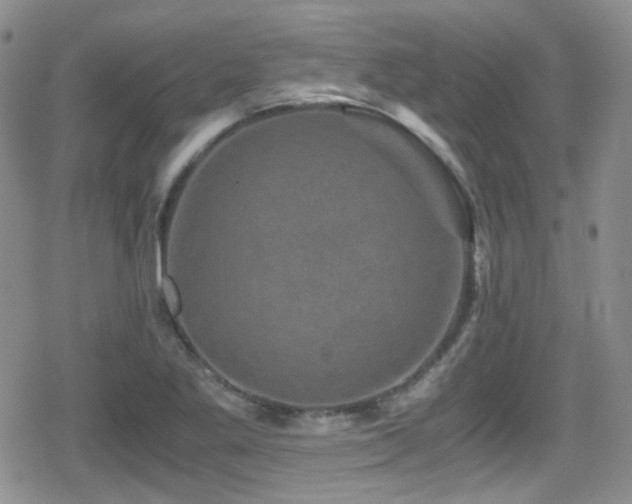 X0000080811269200612151519