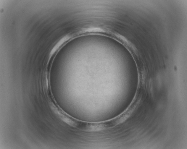 X0000080811274200612151519