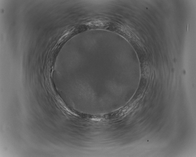 X0000080811297200612151518