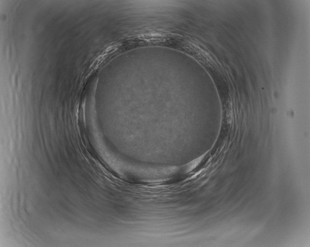 X0000080811298200612151518