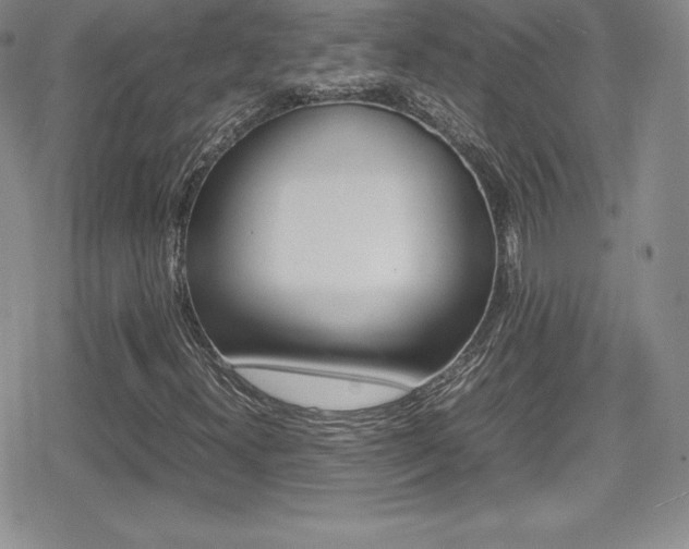 X0000080811300200612151518