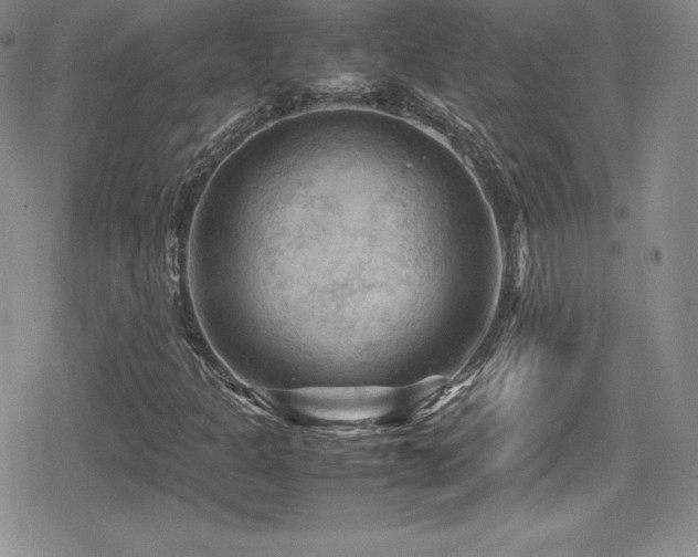 X0000080811301200612151518