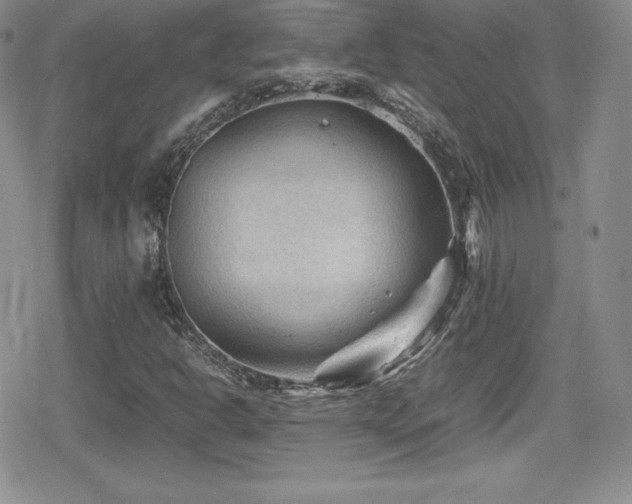 X0000080811302200612151518