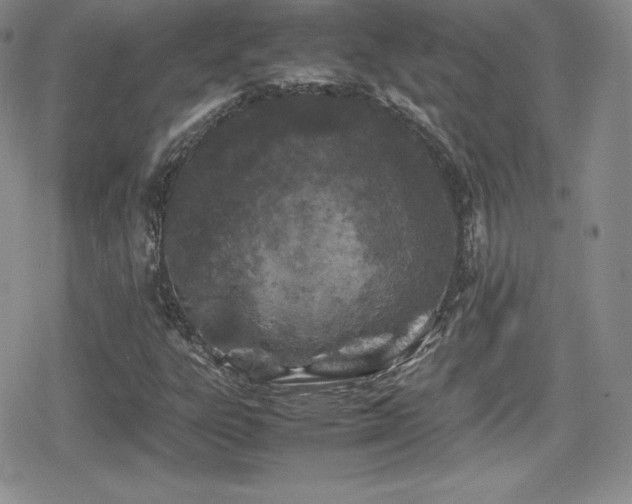 X0000080811303200612151518