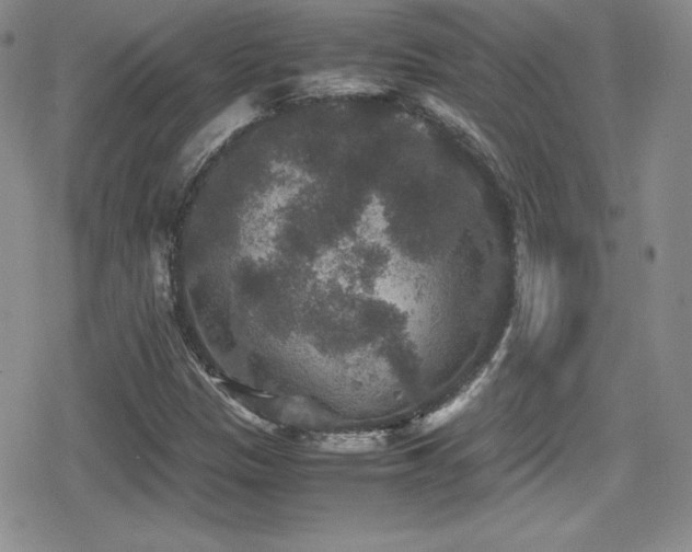 X0000080811305200612151518