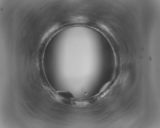 X0000080811307200612151518