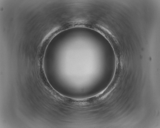 X0000080811309200612151518