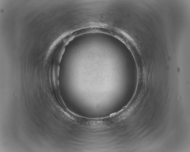X0000080811310200612151518