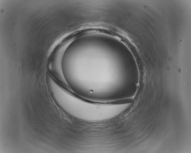 X0000080811312200612151518