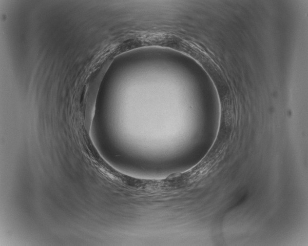 X0000080811345200612151518