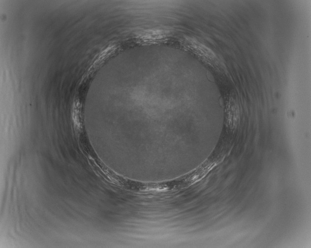 X0000080811346200612151518
