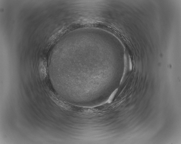X0000080811348200612151518