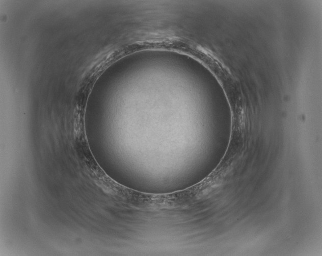 X0000080811350200612151518