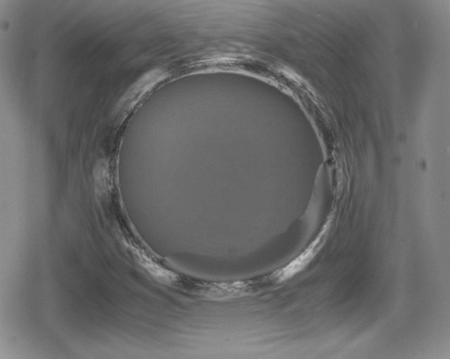 X0000080811353200612151518
