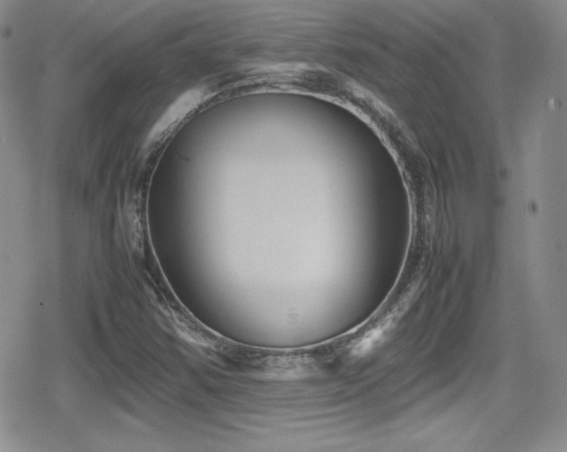 X0000080811354200612151518