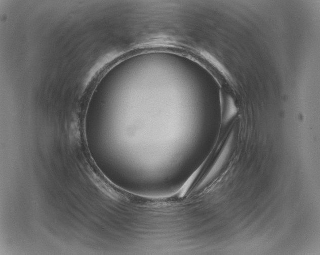 X0000080811356200612151518
