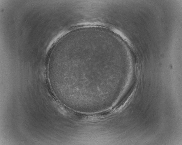 X0000080811357200612151518