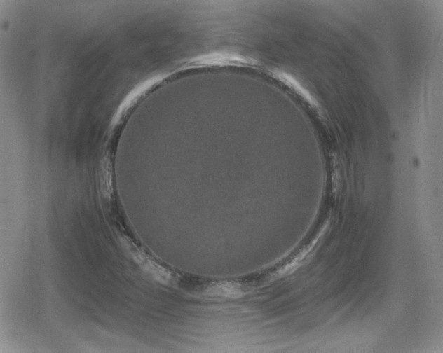X0000080811358200612151518